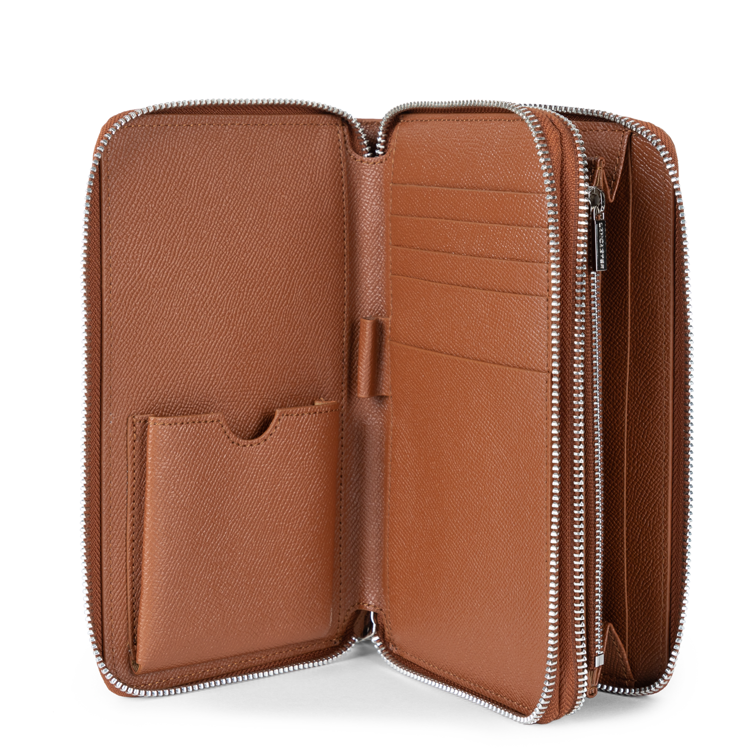 compagnon - delphino lucas