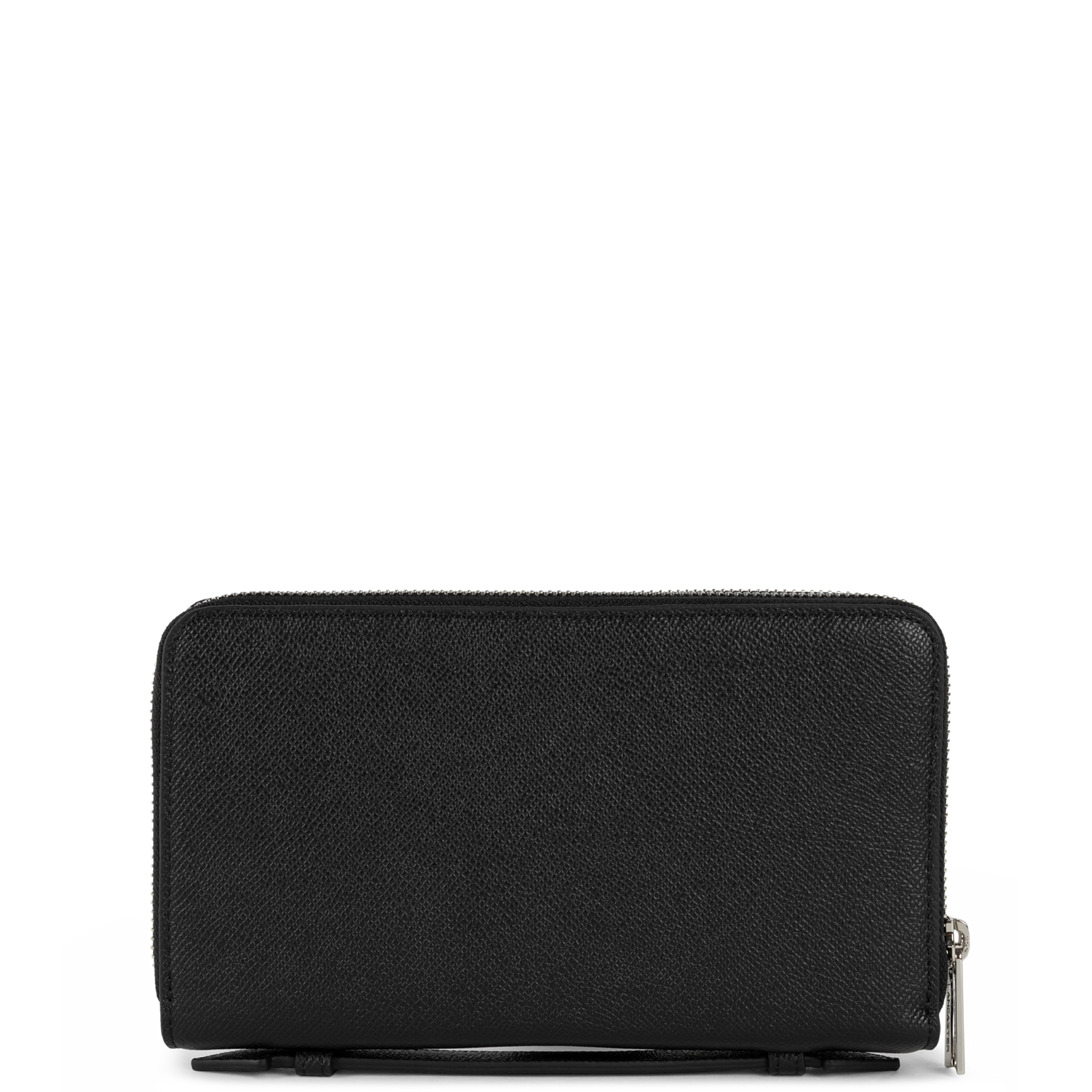 compagnon - delphino lucas