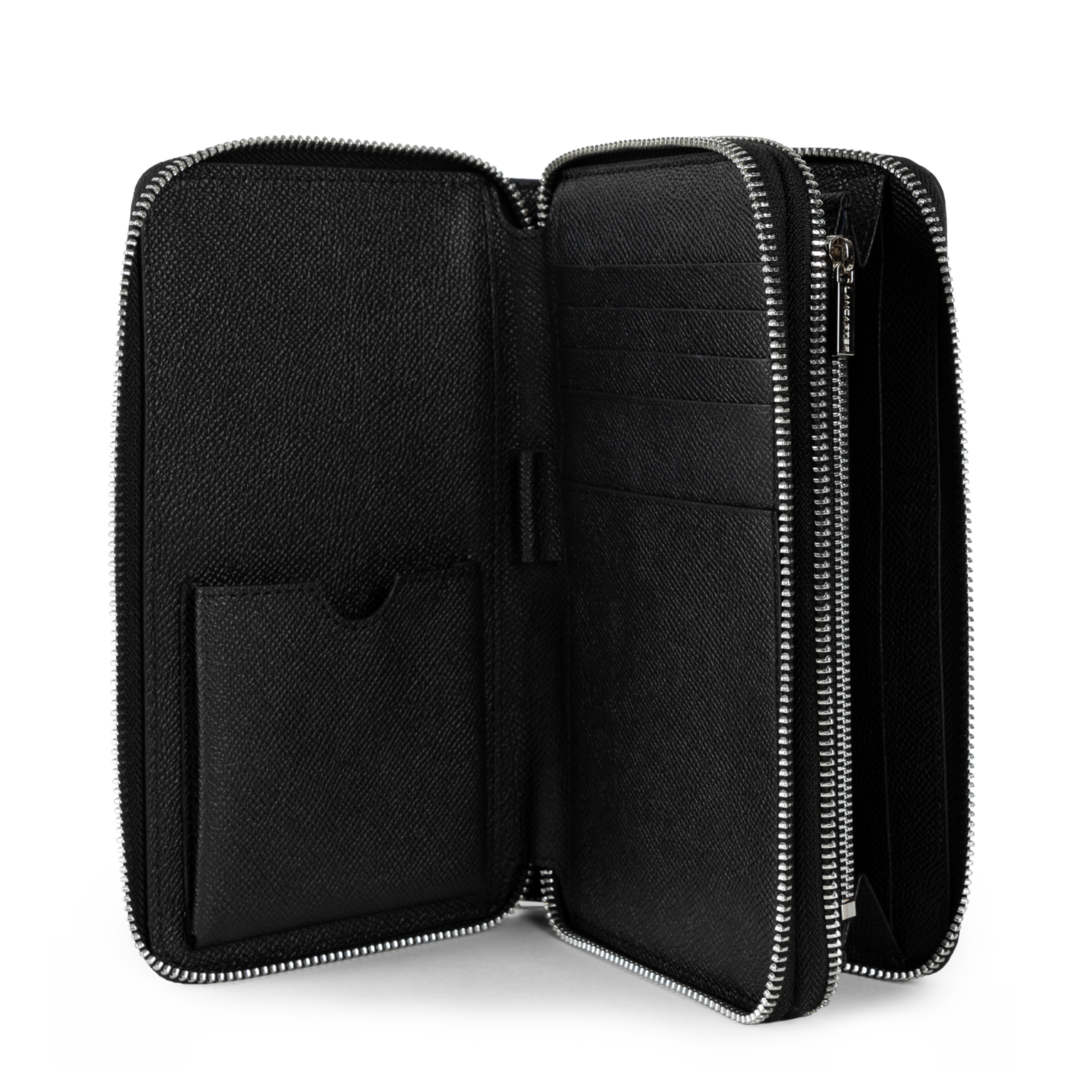 compagnon - delphino lucas