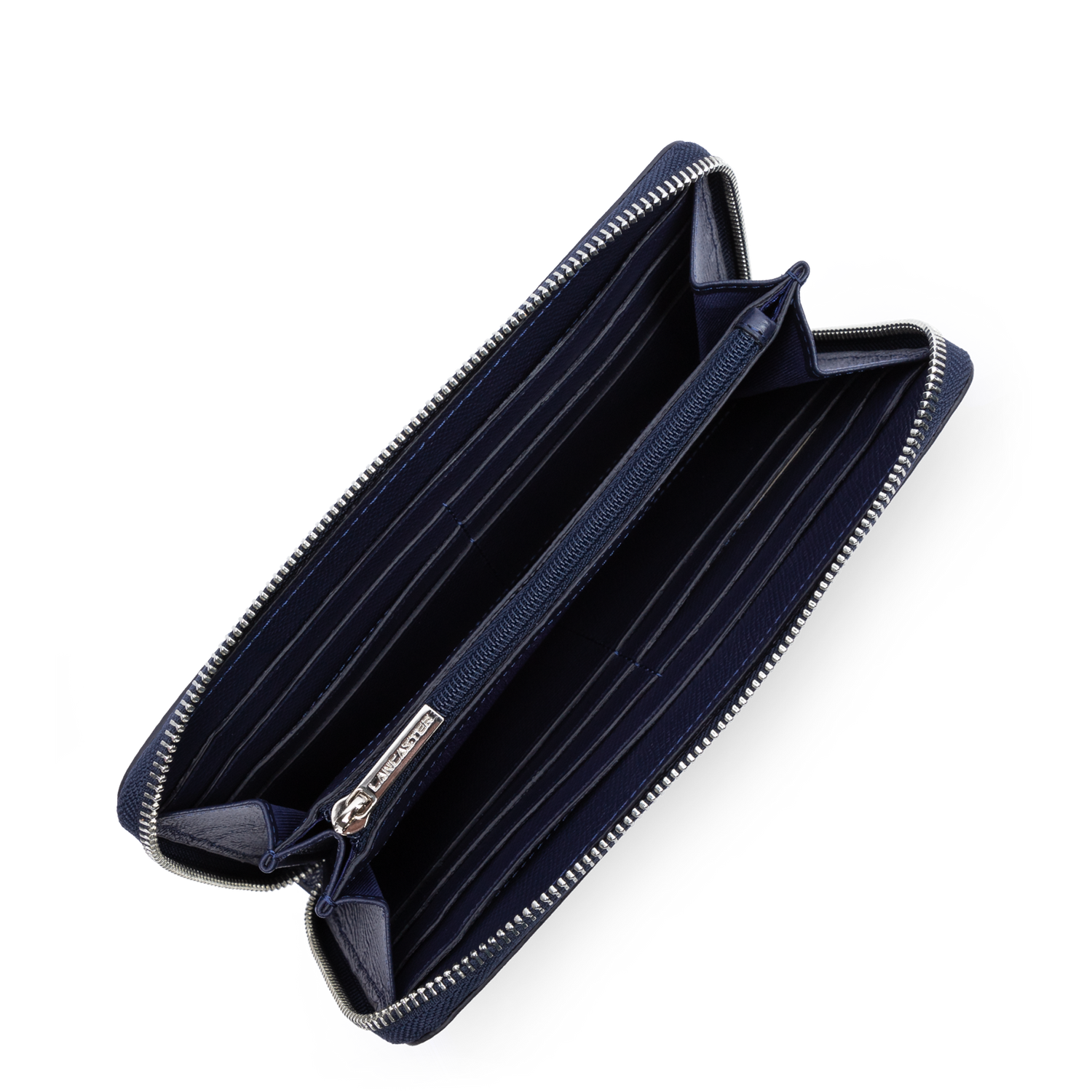 compagnon - delphino lucas