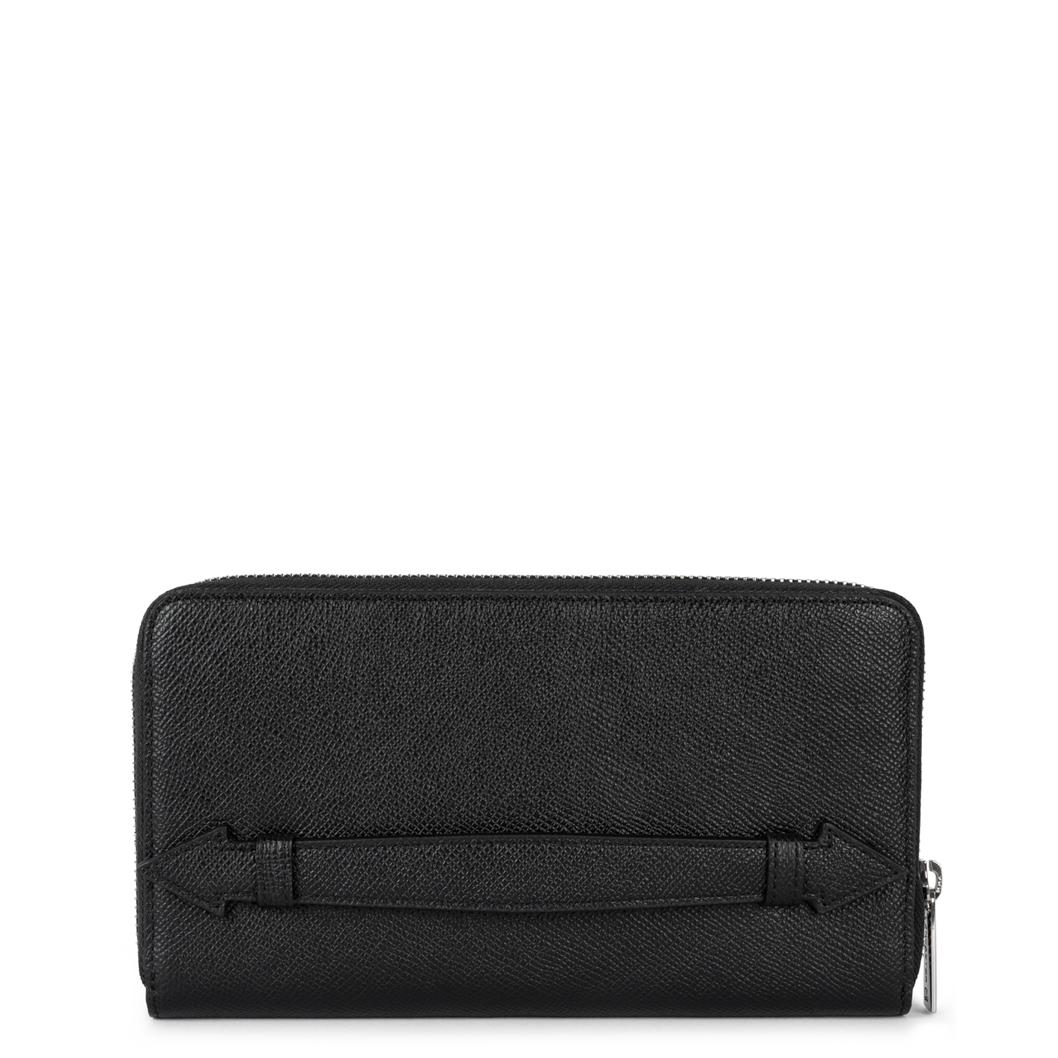 compagnon - delphino lucas