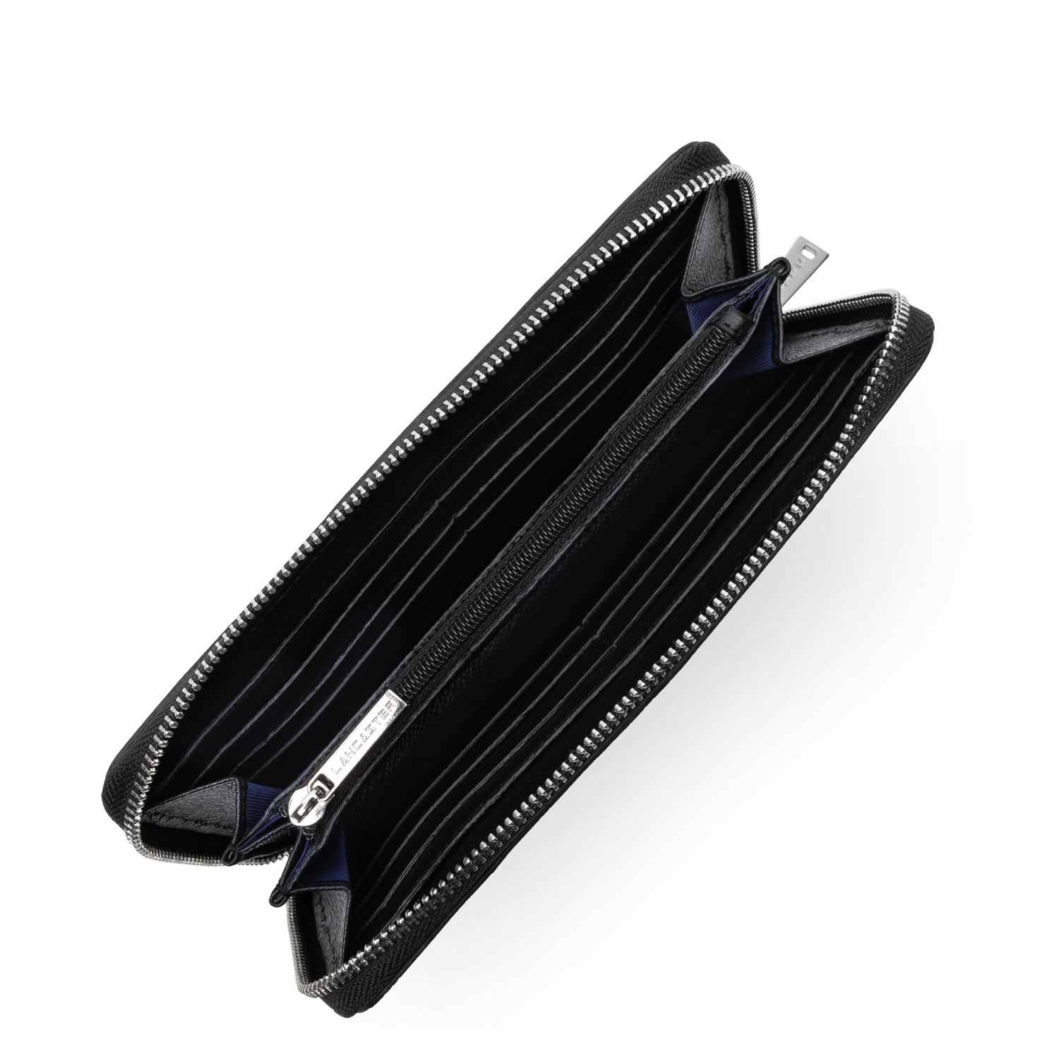 compagnon - delphino lucas