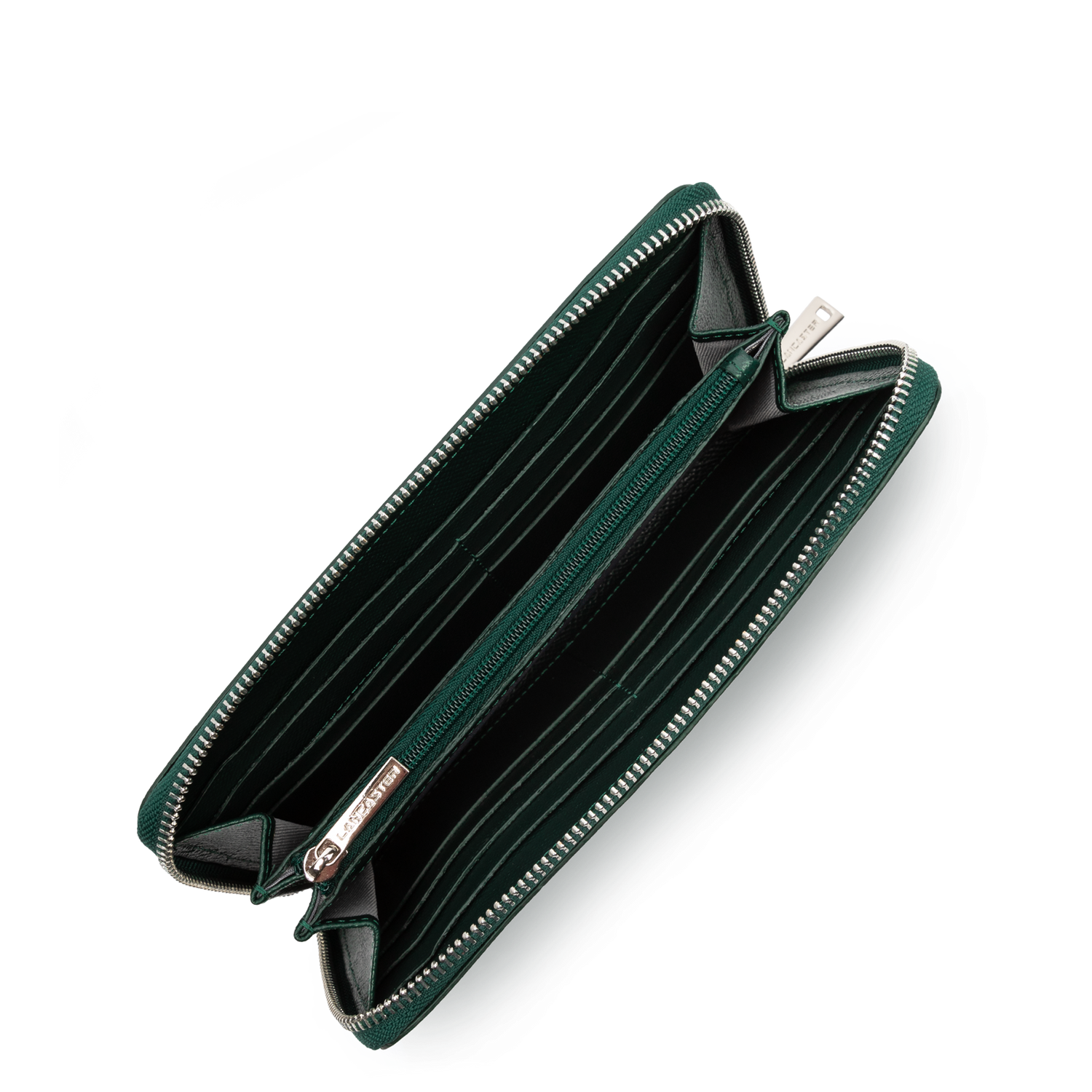 compagnon - delphino lucas