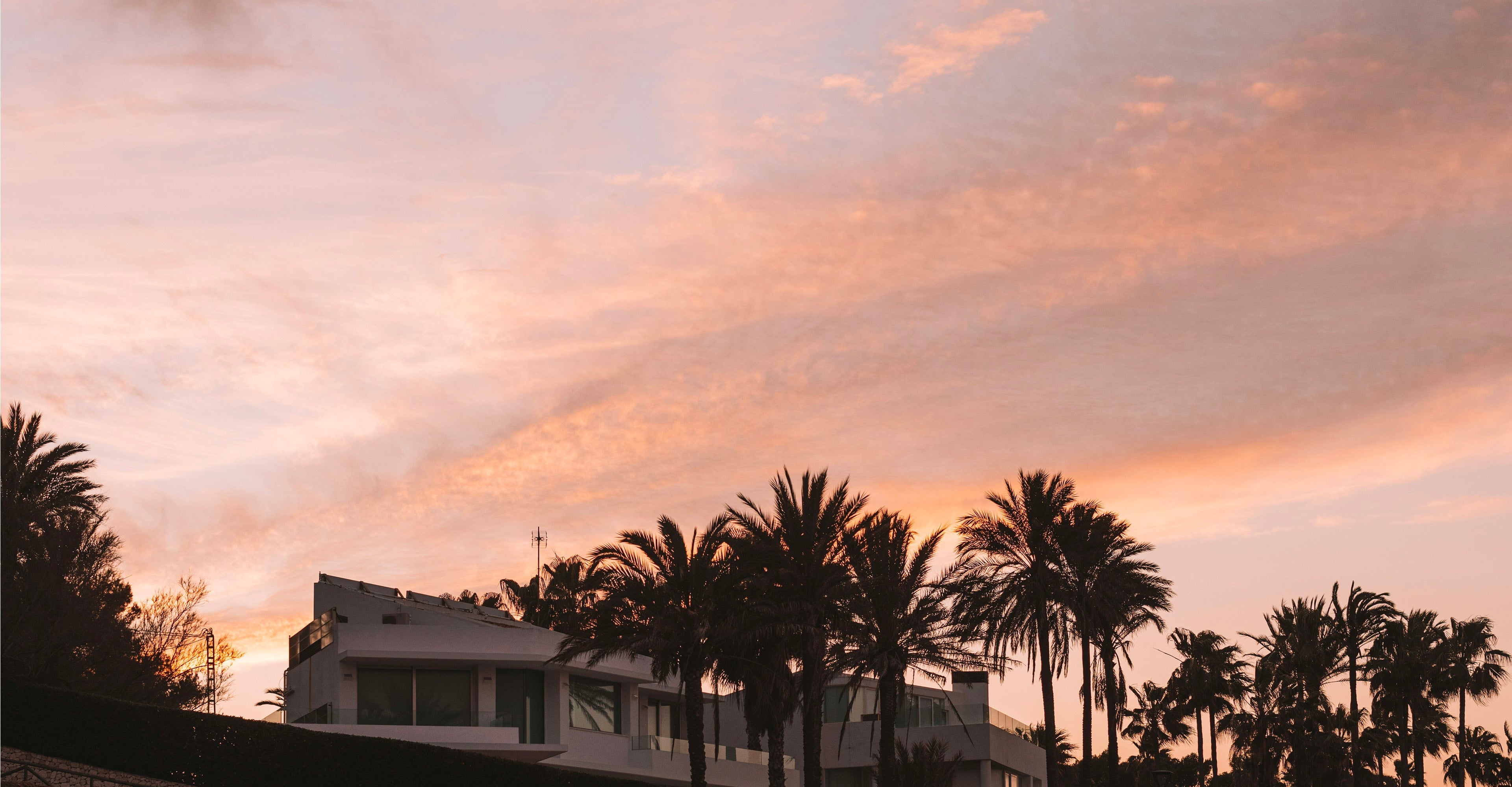 Nouveautés Printemps - Été 2026