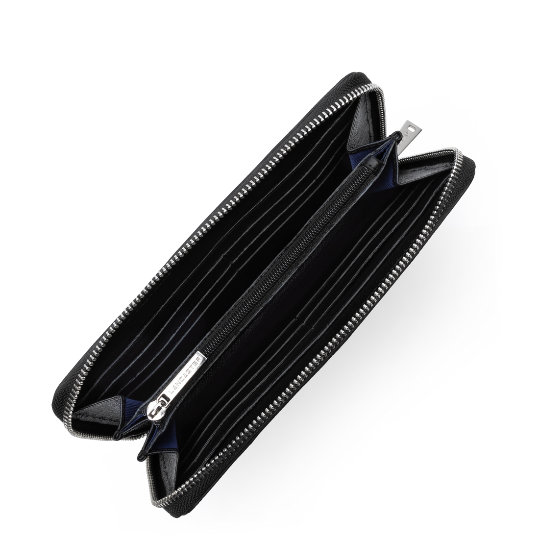 compagnon - delphino lucas